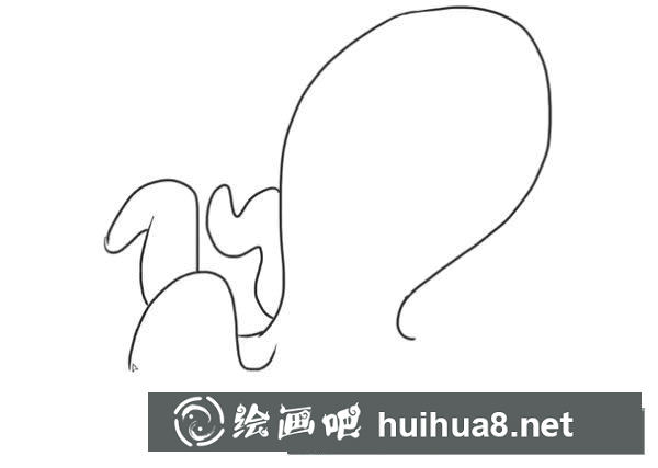 卡通烏賊簡筆畫圖片
