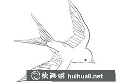 小燕子簡(jiǎn)筆畫步驟圖解