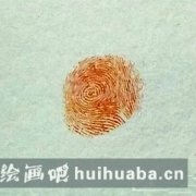 兒童繪畫(huà)蜜蜂教程