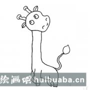 長(zhǎng)頸鹿簡(jiǎn)筆畫(huà)步驟圖解