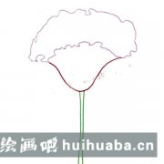 畫雞冠花步驟教程圖解