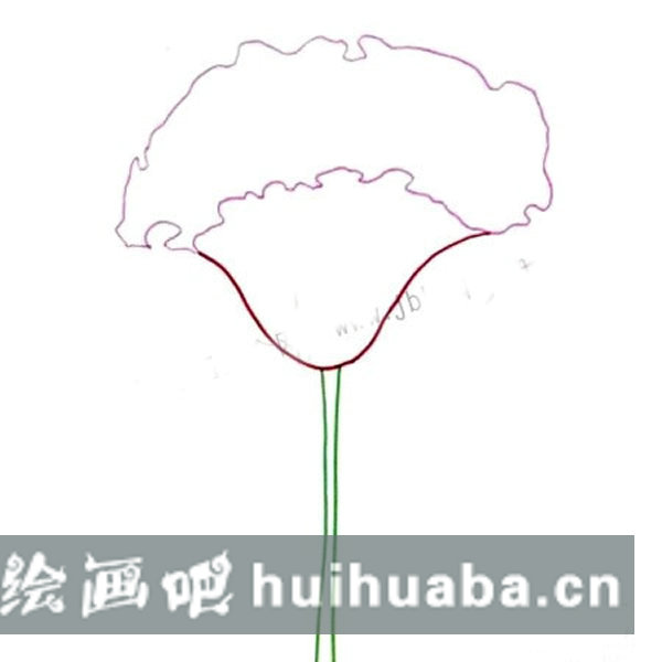 繪制雞冠花的第一步