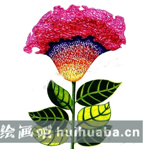 用點(diǎn)彩為雞冠花上色