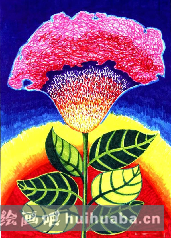 完成后的雞冠花畫作