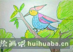 兒童油畫棒畫啄木鳥醫(yī)生治病