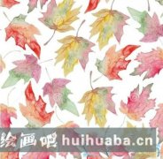秋楓紅葉映美景