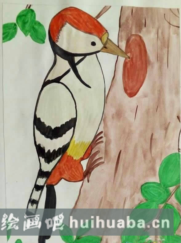 啄木鳥給大樹治病兒童畫_可愛的小動物兒童畫/水彩畫圖片