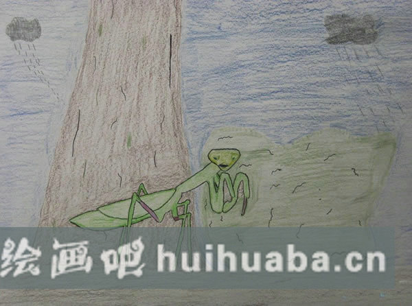 手繪小昆蟲螳螂彩鉛畫作品圖片_螳螂畫怎樣涂顏色