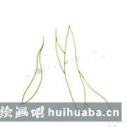 黃瓜畫法步驟詳解