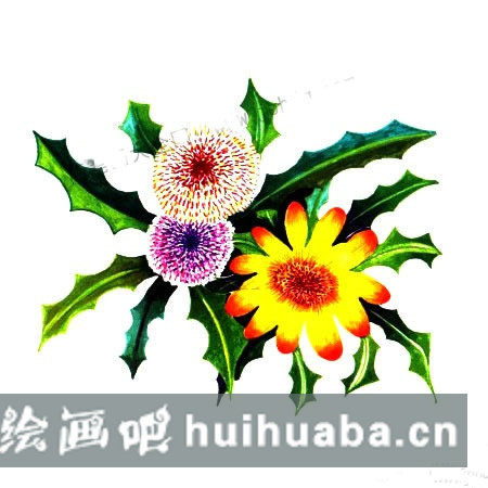 如何繪制美麗的蒲公英兒童畫