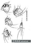 國畫魚技法探析