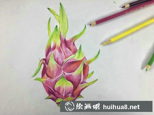 火龍果彩鉛畫步驟4