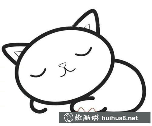 貓咪前肘部和右腳