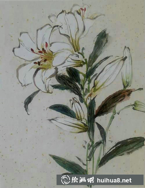 百合花勾莖點蕊