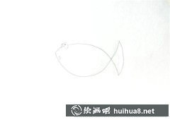 魚(yú)的簡(jiǎn)筆畫(huà)教程