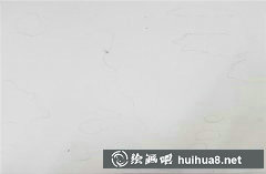 莫奈睡蓮繪技揭秘