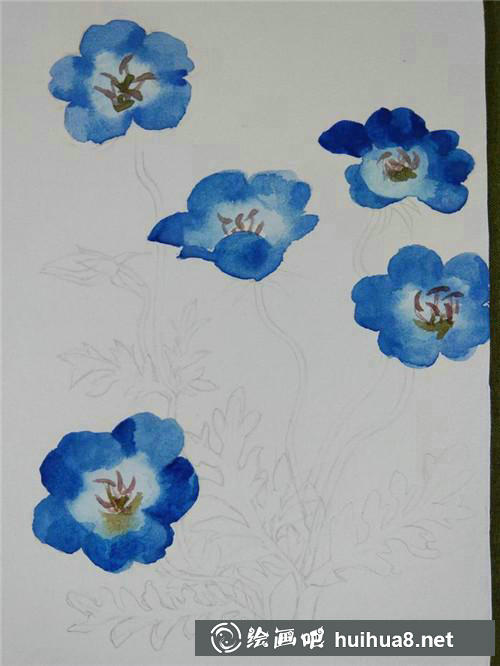 粉蝶花水彩畫(huà)步驟2