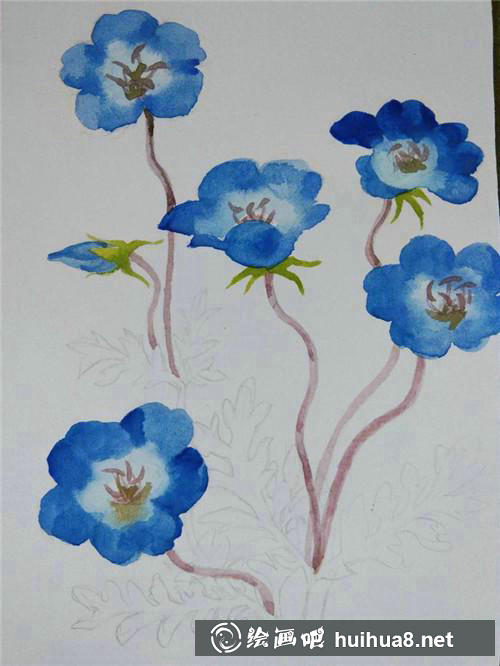 粉蝶花水彩畫(huà)步驟3