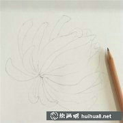 彩鉛菊花繪制指南