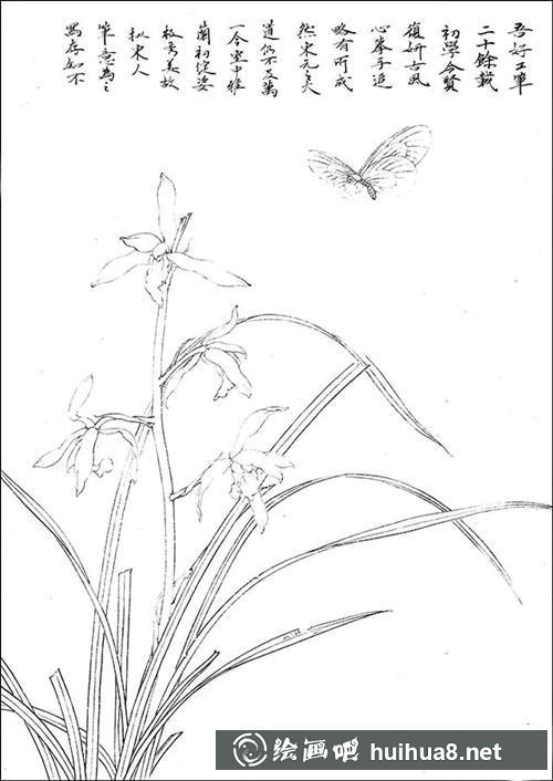 春蘭花頭和蘭葉輪廓