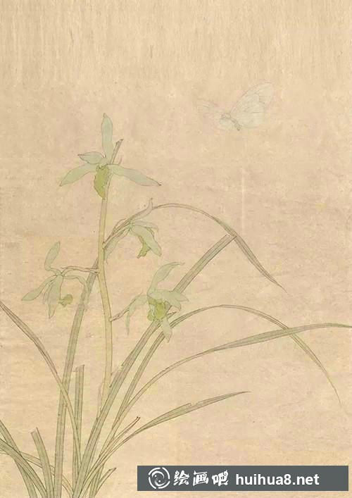春蘭整體上色