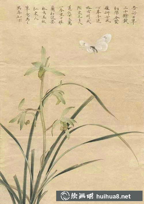 春蘭完成效果