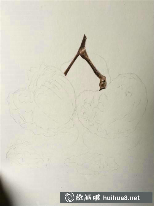 荔枝上色