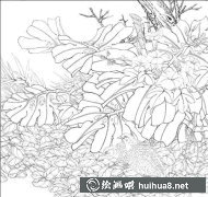 工筆鵪鶉畫法傳承之美