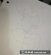 彩鉛繪玫瑰教程入門攻略