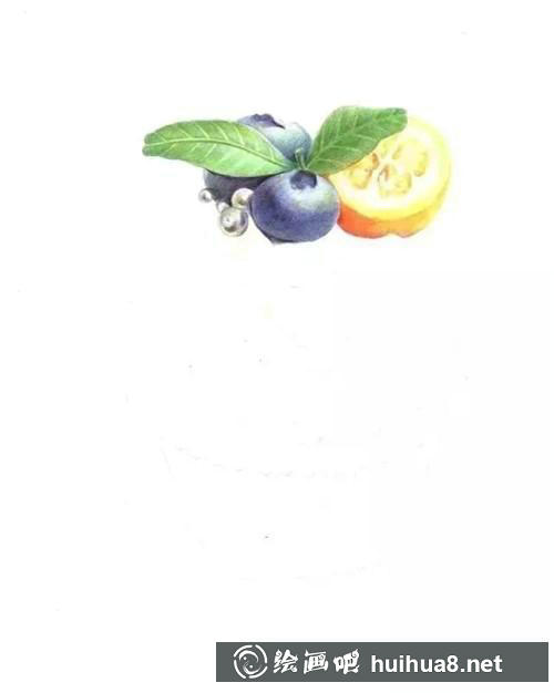 繪制藍(lán)莓細(xì)節(jié)