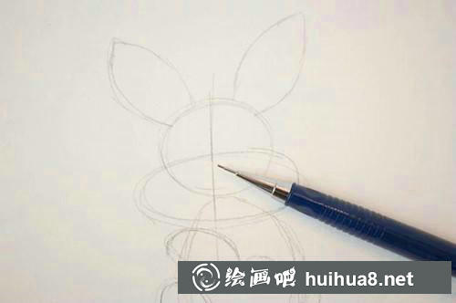 兔子耳朵和面部特征