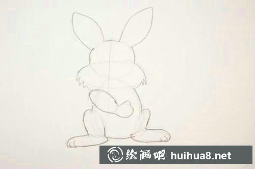 兔子手臂、腿和腳