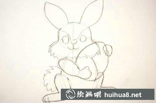 兔子眼睛和尾巴