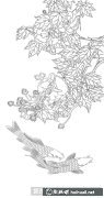 牡丹錦鯉工筆畫法教程