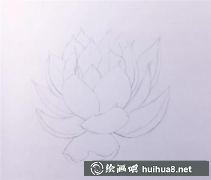 多肉彩鉛畫教程分享