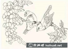 工筆畫芙蓉鳥(niǎo)繪制教程