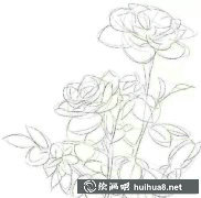 薔薇花繪法教程