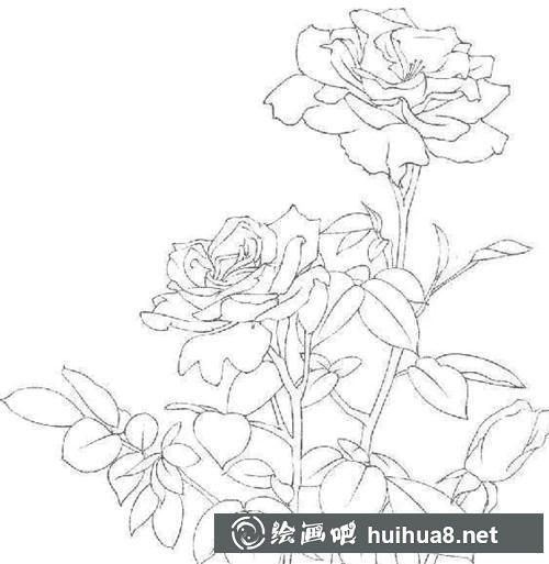 步驟二