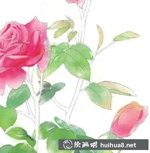 步驟七