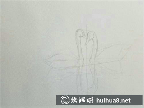 天鵝線稿