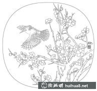 戴勝鳥(niǎo)繪畫教程