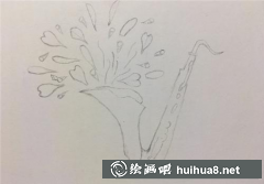 手繪彩鉛喇叭花教學(xué)攻略