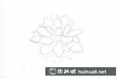 彩鉛繪多肉植物入門技巧