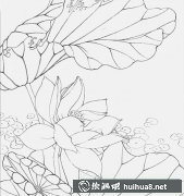 工筆畫蓮花技法解析