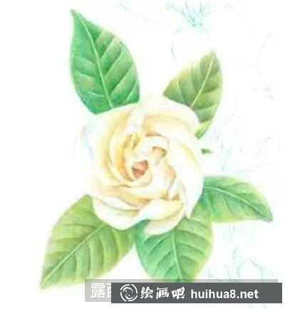 添加細節(jié)