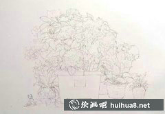 盆栽水彩畫入門教程