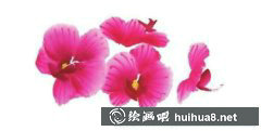 國(guó)畫(huà)蝴蝶蘭繪技解析