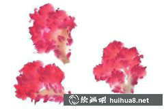 雞冠花國(guó)畫(huà)技法揭秘