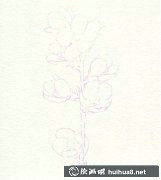彩鉛桃花繪制教學(xué)指南