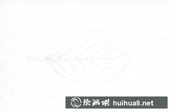 彩鉛繪葉技巧解析